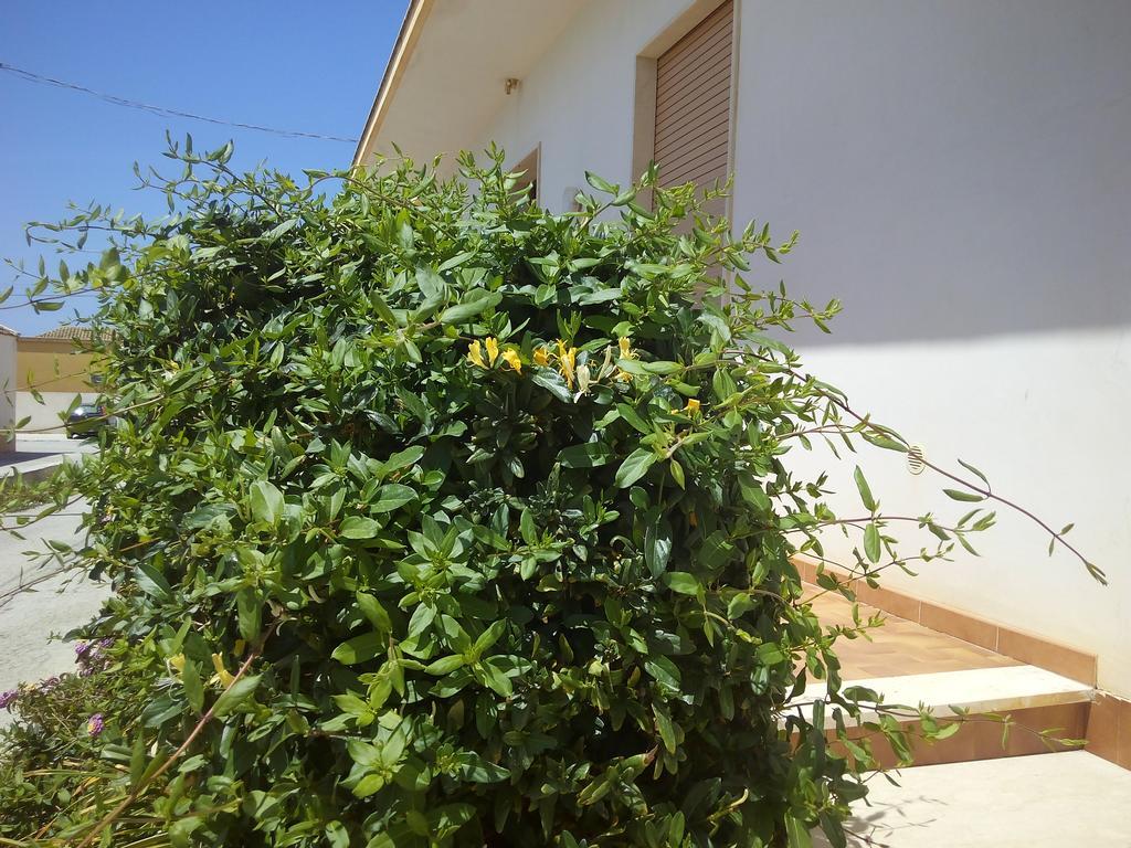 Casa Bianca Da Giusy Guest House Birgi Vecchi Exterior photo